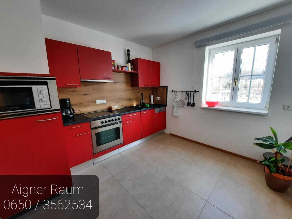 Apartment Aigner Raum Bad Goisern Extérieur photo